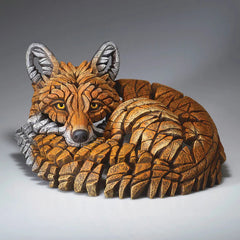 Curled Up Fox