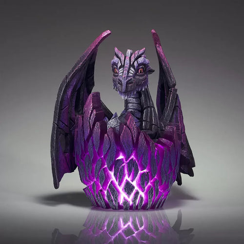 Dragon Egg Illuminated - Black/Purple