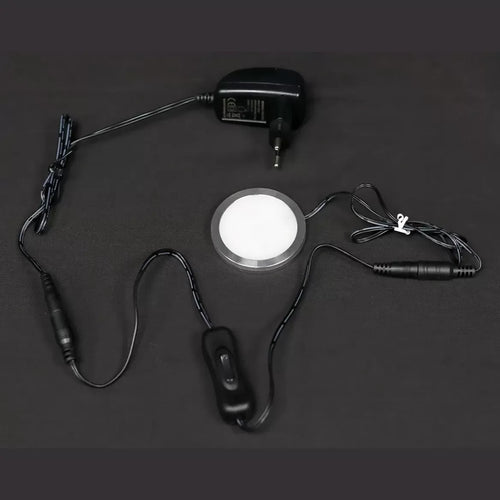 Dragon Egg Illuminated - Black/Purple