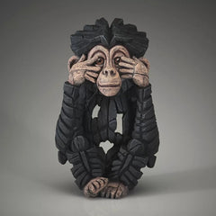 Chimpanzee See no Evil