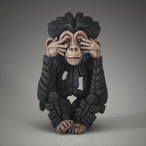 Chimpanzee See no Evil
